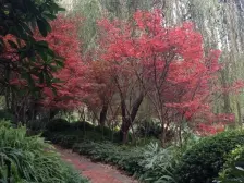 2019年全新住家装修,拎包入住,视野采光好