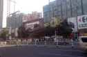 希尔顿广场写字楼实景图