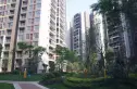 中铁塔米亚实景图
