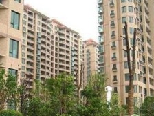 金色中环带+空中花园复试+景观位置