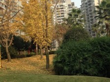 业主诚心出售,户型通透方正,视野无遮挡,绿化高