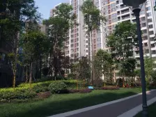 中铁塔米亚 4室1厅 东南