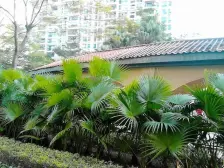 自住精装四房两卫,双阳台,位置安静