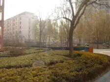 天庆嘉园 太阳岛 地铁口 精装修 看房方便 人车分流