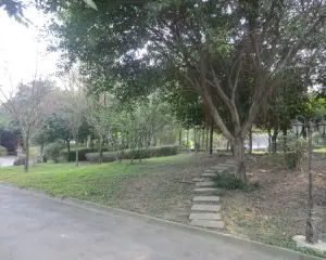 盛世中华 7室2厅 南