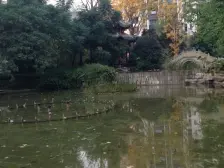 金科精装大3房,户型方正,环境优美安静