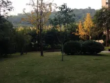 人和 金科东方雅郡三房123.6万