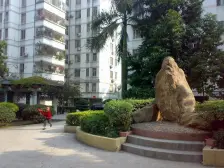 南师 桂一 格局方正 总价低