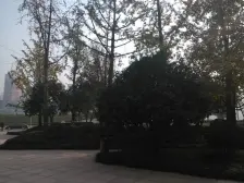 华新街轻轨站旁单体楼中低层无抵押可以看江