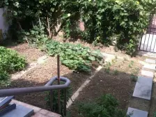 三林·万科金色里程·4室·3厅