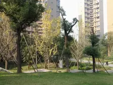 同景国际城W组团 2室1厅 东南