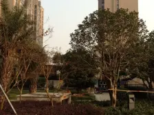 春申品质人车分流小区,采光好,户型方正,带大院子