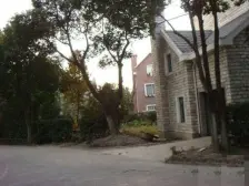 独栋别墅花园800平欢迎实地看房