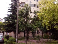 北蔡·文汇小区(南区)·2室·1厅