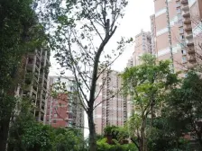 凤凰台二期,江景房,带车位,南湖小.学青秀五中