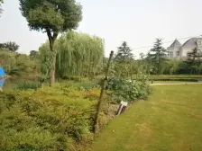 世茂佘山庄园 6室3厅 南 北