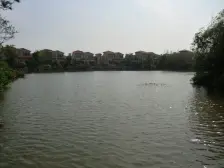 长泰西郊 4室4厅 南