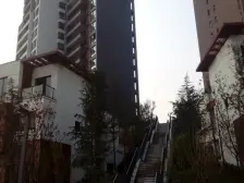 鸳鸯 中冶北麓原二房150万