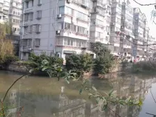 北濠桥东村 精装修 房东急售 价格可谈 带家具家电