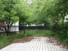 400平花园,4车位,北入户南花园,临绿地视野开阔