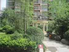 小区中间位置中间楼层采光不受影响 采光好