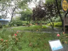 视野开阔,采光充足,业主诚意出售