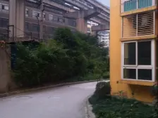 动物园旁 电梯小两室 精装修 随时看房