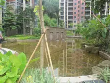 国际公馆别嘢一排看湖花园400平双拼多车位