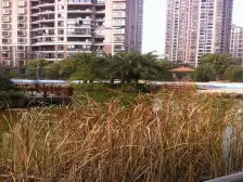 联泰香域尚城 南北通透,采光好 近地铁 周边匹套完善,,出行方便