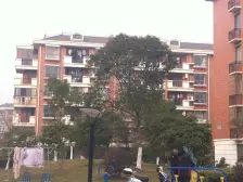 店总推荐,唐镇南北大两房,中间位置景观视野,诚意售