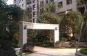 兴进上郡实景图