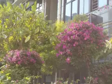 花园小区,经典户型,房东诚意出售,看房方便