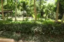 昌炜玉园实景图