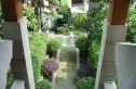 紫檀山实景图