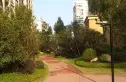 兴进上郡实景图