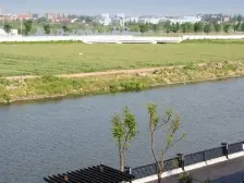 鸿玺郡(北区)(别墅) 4室2厅 南 北