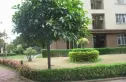 紫荆花园紫云壹号实景图