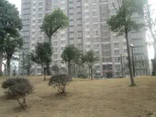 凤凰苑 精装两房 业主诚心出售 交通便利 对 面省医院