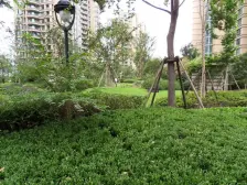 客厅带阳台,精装修,景观房,小区景观位置,房型正气,带产权车位,小区中心位置