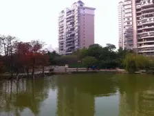 此房户型方正,得房率高,好楼层视野无挡诚心出售