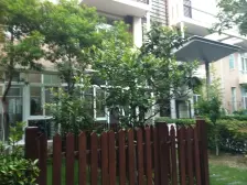 汤臣豪庭 4室2厅 南