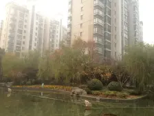 玫瑰992室南朝向490.00万元/套出售