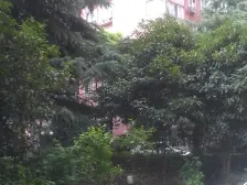 桃林公寓2室东南朝向650.00万元/套出售