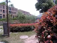 重固·金城上品·4室·2厅