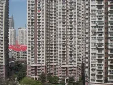 菊园 3室2厅 东南