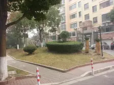 电梯洋房,靠湖位置,看喷泉,中间楼层采光好看房方便