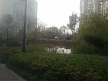 高迪晶城精装修,一居室,直接拎包入住