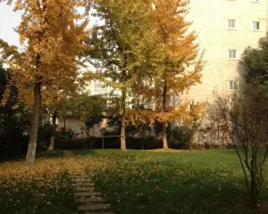 利通出水芙蓉 3室2厅 东