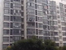 三房两卫全明户型,楼层好,业主诚意出售