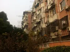 新上双南,热门户型,采光无遮挡,视野开阔